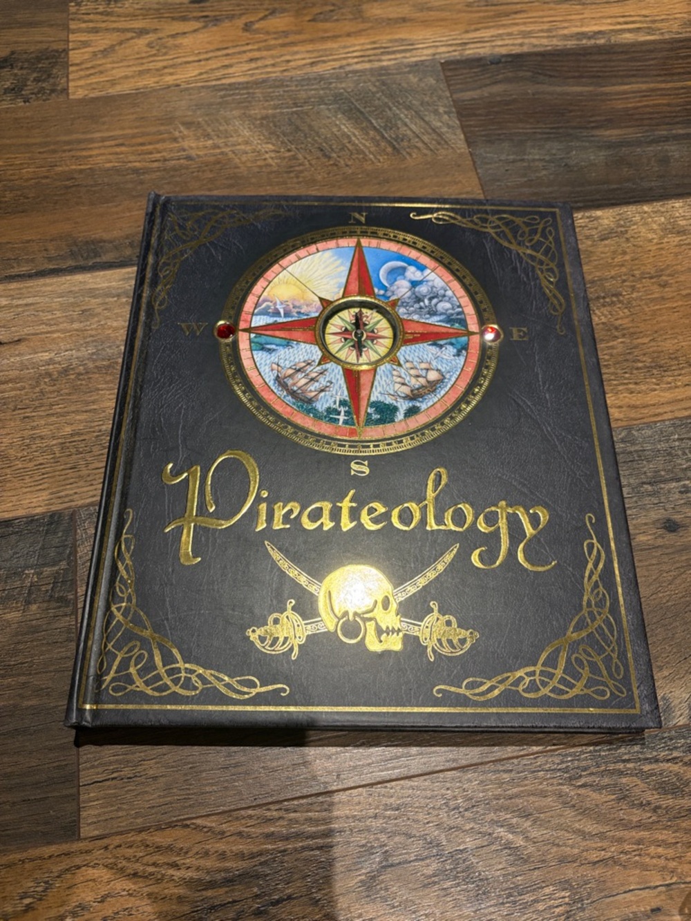 Pirateology The Sea Journal of Captain Lubber Pirate Hunter Hardcover Book